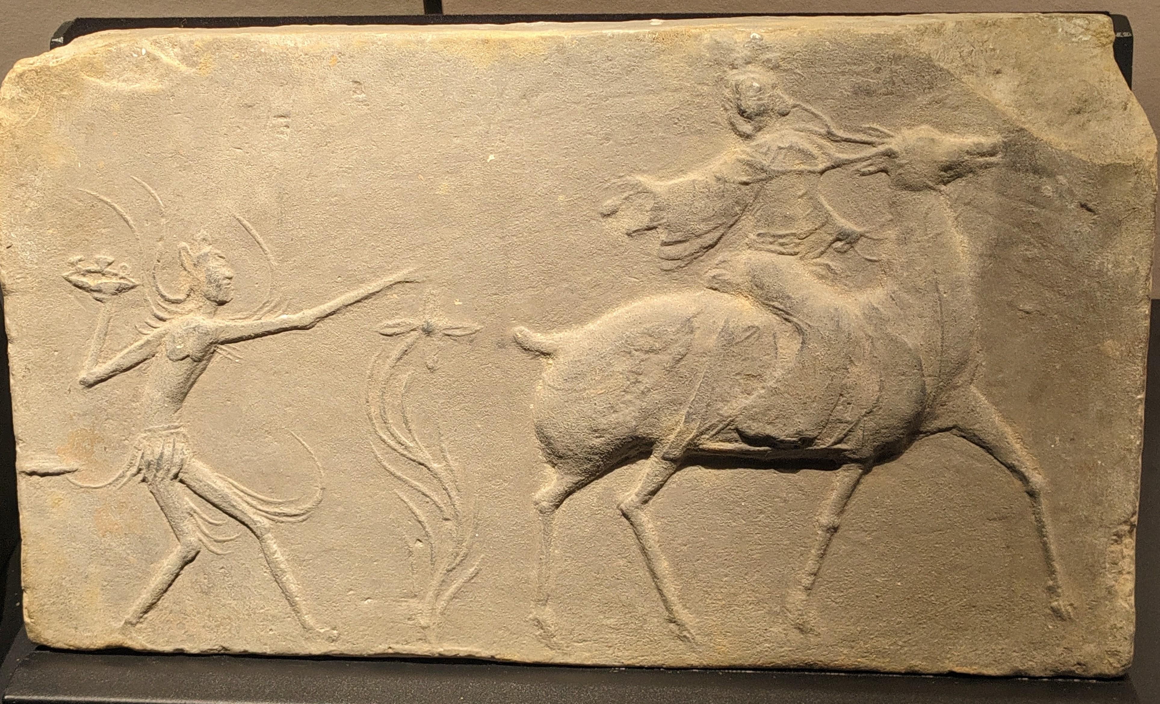 Immortal on a Deer